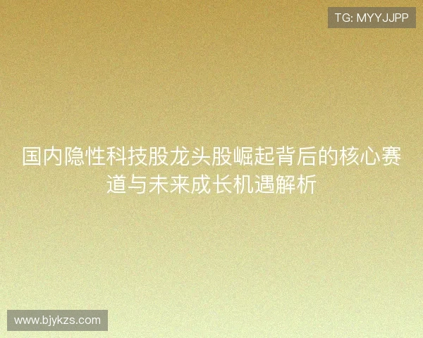 国内隐性科技股龙头股崛起背后的核心赛道与未来成长机遇解析 国内隐性科技股龙头股崛起背后的核心赛道与未来成长机遇解析